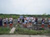 pelindo mangrove