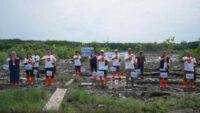 Pelindo Multi Terminal Group Tanam 11.000 Mangrove Bawa Manfaat Bagi Masyarakat