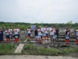 Pelindo Multi Terminal Group Tanam 11.000 Mangrove Bawa Manfaat Bagi Masyarakat