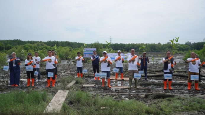 pelindo mangrove