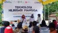 Desa Ekonomi Maju dan Sejahtera Dorong Desa Mandiri Indramayu Sandiaga Uno Gelar Pelatihan Hilirisasi Mangga