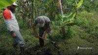 Hari Tani Nasional 2025, LindungiHutan Perkuat Peran Petani dalam Penghijauan dan Ketahanan Iklim