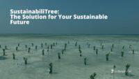 LindungiHutan Tawarkan SustainabiliTree untuk Dukung Studi Kelayakan hingga Implementasi Bisnis Keberlanjutan
