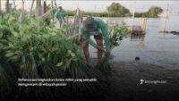 Deforestasi Indonesia Masih Meningkat, Inisiatif Pemulihan Hutan Mendesak Diperkuat