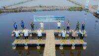 Tanam 16.000 Bibit Mangrove, PT Pelindo Solusi Logistik Perkuat Ekosistem Blue Carbon untuk Mitigasi Perubahan Iklim
