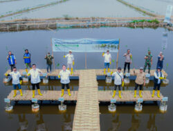 Tanam 16.000 Bibit Mangrove, PT Pelindo Solusi Logistik Perkuat Ekosistem Blue Carbon untuk Mitigasi Perubahan Iklim
