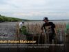 Program Sedekah Pohon oleh LindungiHutan di Makassar