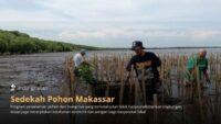 Abrasi Ancam Makassar, LindungiHutan Ajak Publik Berdonasi Pohon untuk Rehabilitasi Pesisir Untia