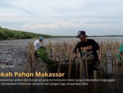 Abrasi Ancam Makassar, LindungiHutan Ajak Publik Berdonasi Pohon untuk Rehabilitasi Pesisir Untia