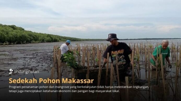 Program Sedekah Pohon oleh LindungiHutan di Makassar