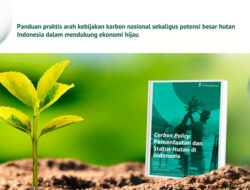 LindungiHutan Luncurkan eBook “Carbon Policy” untuk Dorong Transisi Karbon di Indonesia