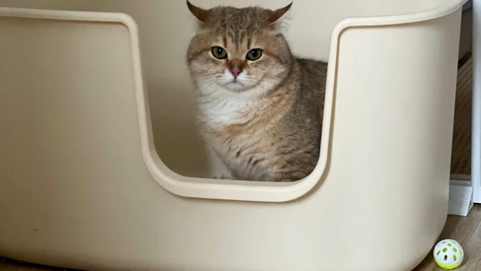 Unicharm Pet Indonesia