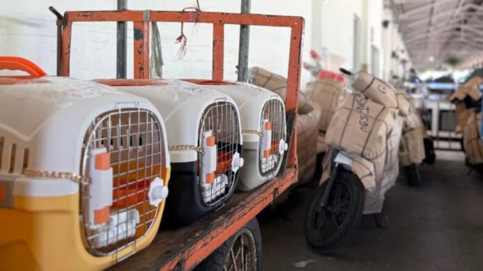 KAI Logistik Catat Pengiriman Lebih Dari 116 Ribu Hewan Peliharaan