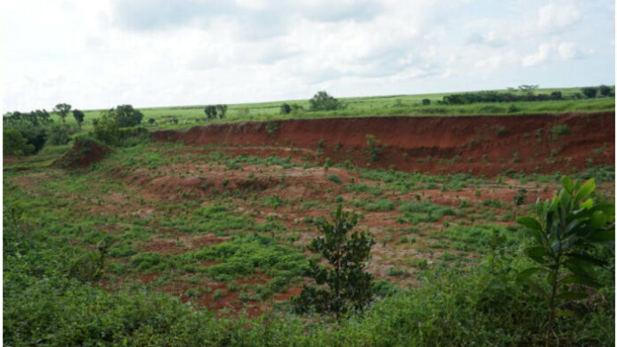 Penghijauan Berbasis Komunitas di Desa Koranji Subang