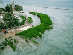 Pulau Pramuka: Lokasi Strategis untuk Penanaman Mangrove & Restorasi Terumbu Karang
