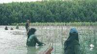 LindungiHutan Dorong Aksi Komunitas di Pantai Bahagia, Bekasi
