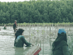 LindungiHutan Dorong Aksi Komunitas di Pantai Bahagia, Bekasi