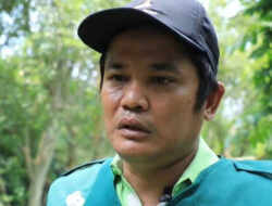 Kisah Ujang Pustiawan dan Perjuangan Kelompok Tani Flora Mangrove