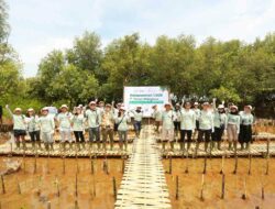 Abrasi Ancam Pesisir Tangerang, BRI Danareksa Sekuritas Tanam 1000 Pohon Mangrove untuk Perkuat Ketahanan Pantai