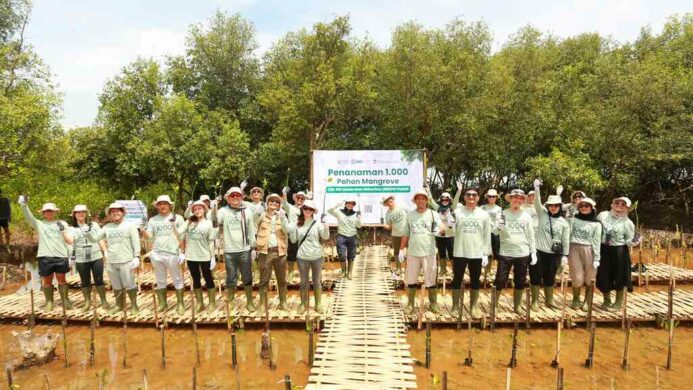 Abrasi Ancam Pesisir Tangerang BRI Danareksa Sekuritas Tanam 1000 Pohon Mangrove untuk Perkuat Ketahanan Pantai