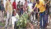 Peringati Hari Menanam Pohon, Linknet (LINK) Tutup Program “New Homepass, New Tree”
