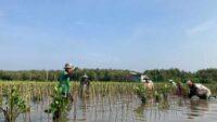 LindungiHutan Ajak Publik Rayakan Hari Menanam Pohon Indonesia dengan Aksi Nyata di Tengah Krisis Iklim