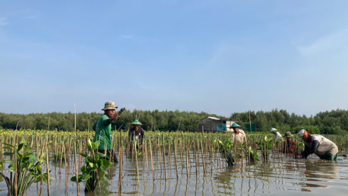 Rayakan Hari Menanam Pohon Indonesia