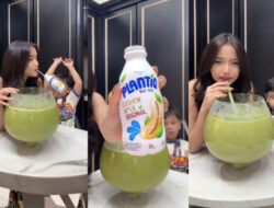 Matcashew Megalodon PLANTIQ Viral! Fuji Puji Rasanya Super Creamy — Ini Rahasia nya!