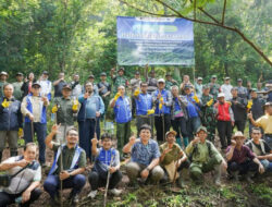 Pertamina Peringati Hari Jadi dengan Penghijauan Ratusan Hektare Lahan
