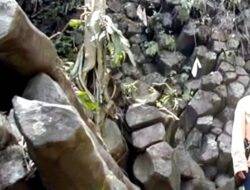 TACB Cilacap Akan Identifikasi Mendalam Gamelan Batu Salebu, Mulai Besok