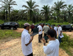 Hilirisasi Pangan Nasional, Holding Perkebunan Nusantara Melalui PalmCo Siapkan Lahan Peternakan Ayam Terintegrasi