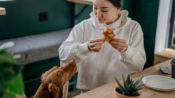 5 Rekomendasi Pet Friendly Cafe di Jakarta untuk Hangout di Akhir Pekan