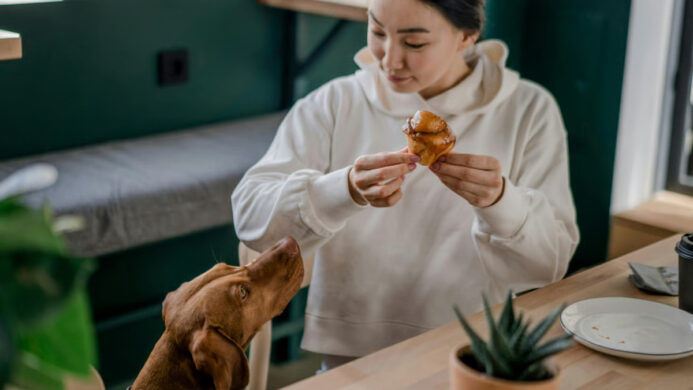 5 Rekomendasi Pet Friendly Cafe di Jakarta untuk Hangout di Akhir Pekan (1)