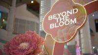 Mall of Indonesia Hadirkan “Beyond the Bloom”, Perayaan Imlek 2026 Penuh Kehangatan