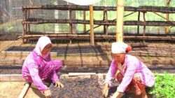 MIND ID Bina Lebih dari 10.000 UMKM untuk Perkuat Ekonomi Lokal dan Tekan Kemiskinan