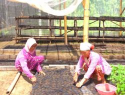 MIND ID Bina Lebih dari 10.000 UMKM untuk Perkuat Ekonomi Lokal dan Tekan Kemiskinan