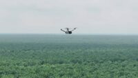 Teknologi Drone Thermal untuk Mencegah Kebakaran di Perkebunan Luas