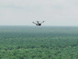 Teknologi Drone Thermal untuk Mencegah Kebakaran di Perkebunan Luas
