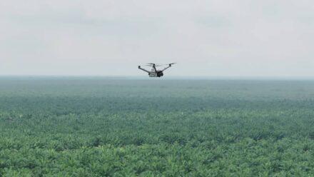 Teknologi Drone Thermal untuk Mencegah Kebakaran di Perkebunan Luas