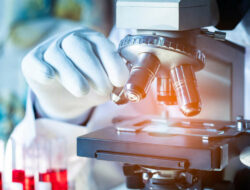 Prodia Hadirkan Advanced Lipid Profile dengan Report Komprehensif, Bantu Masyarakat Pahami Arti di Balik Angka Kolesterol