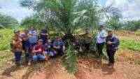 Holding Perkebunan Nusantara melalui PTPN IV Regional V Mutasikan TBM-3 ke TM-1 Seluas 1.119 Hektare pada Awal 2026