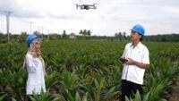 Holding Perkebunan Nusantara Percepat Transformasi Digital, PalmCo Sertifikasi Operator Drone Perkuat Sistem Pemantauan Kebun