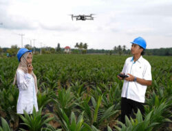 Holding Perkebunan Nusantara Percepat Transformasi Digital, PalmCo Sertifikasi Operator Drone Perkuat Sistem Pemantauan Kebun