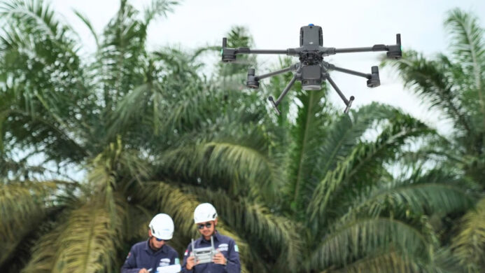 Manajemen Vegetasi dan Analisis Koridor Transmisi dengan Software LiDAR Terrasolid (1)