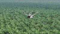 Pemantauan Keamanan Hutan dan Deteksi Kebakaran Lahan dengan DJI Dock 3