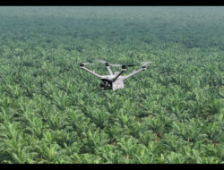 Pemantauan Keamanan Hutan dan Deteksi Kebakaran Lahan dengan DJI Dock 3