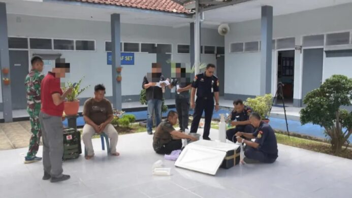 Lanal Cilacap Berhasil Gagalkan Penyelundupan Benih Bening Lobster Ilegal