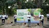 Holding Perkebunan Nusantara melalui PalmCo Targetkan Tanam 50.000 Pohon, Perkuat Komitmen Lingkungan di Hari Bumi