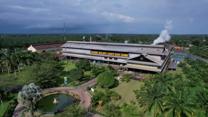 Melalui PalmCo Holding Perkebunan Nusantara Perluas Akses Digital bagi Sekolah di Pelosok