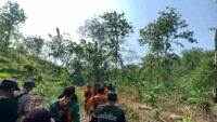 Hari Kedua Pencarian, Pemuda Hilang di Hutan Bantarsari Cilacap Belum Ditemukan